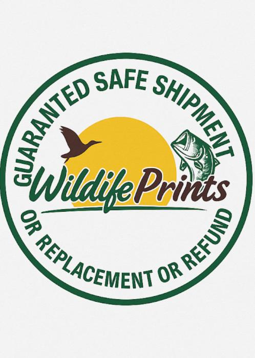 Wildlife Prints