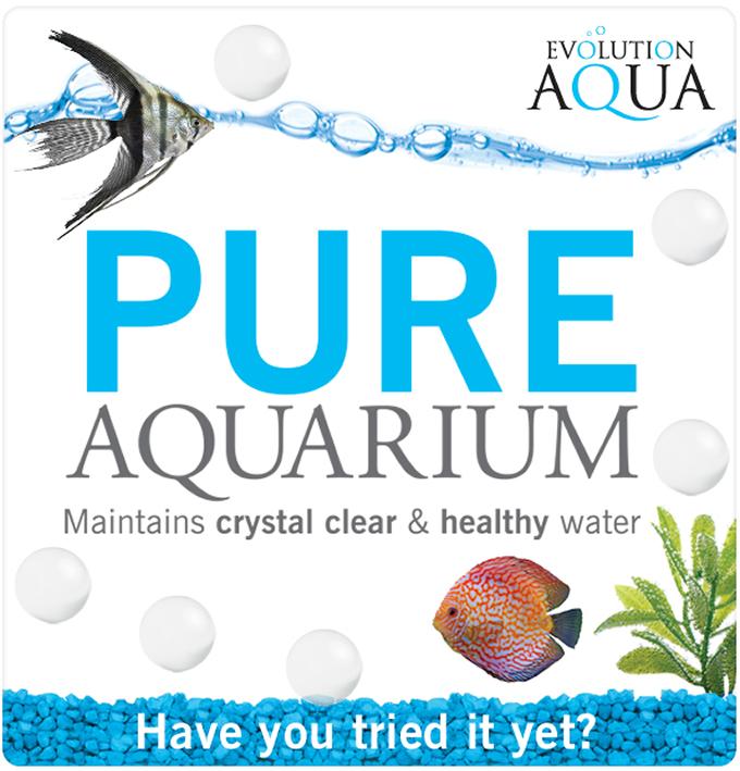 Evolution aqua pure aquarium hotsell