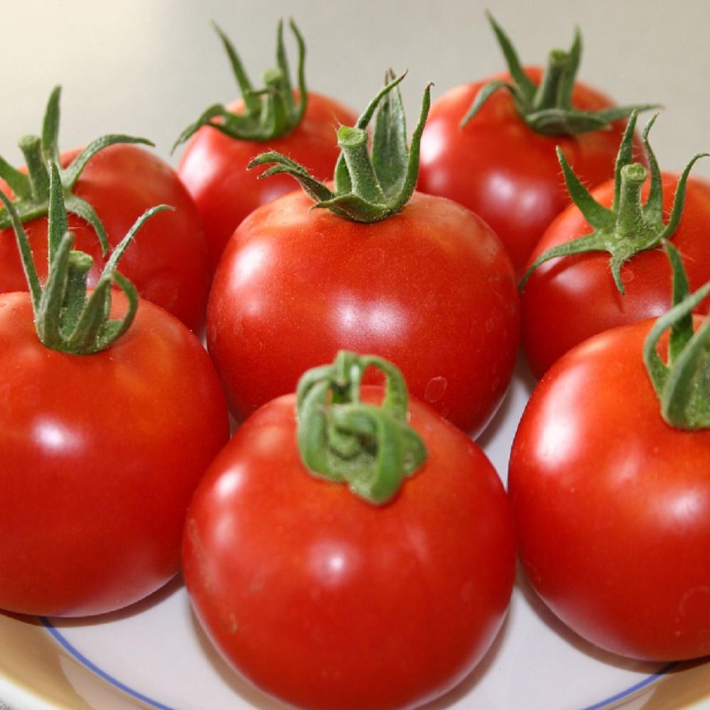 Первые семена томаты. Помидоры Оркадо f1. Томат Кинг сайз. Сорт томата Суперэкзотик.