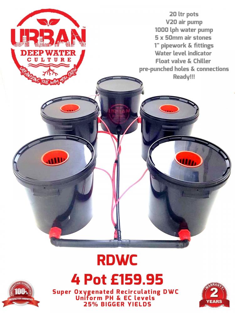 20L 4 Pot Urban RDWC Deep Water Culture Hydroponic Bubbler ...