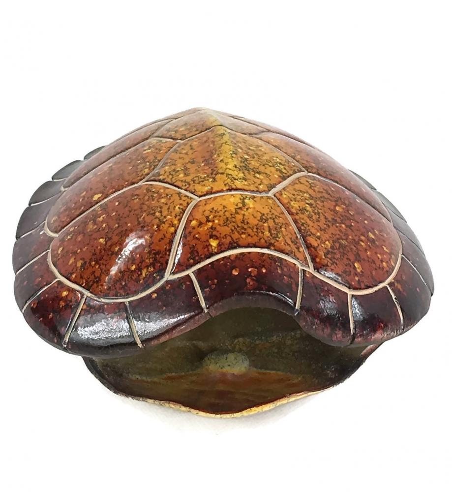 ARTIFICIAL LIFE SIZE RESIN TURTLE SHELL 9319844536646 eBay